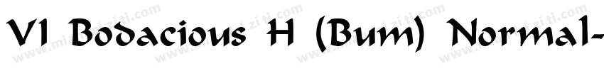 VI Bodacious H (Bum) Normal字体转换